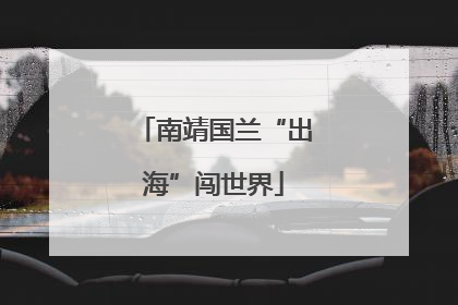 南靖国兰“出海”闯世界